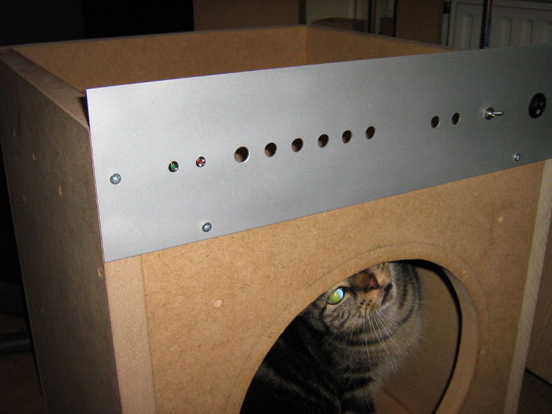 Cat in subwoofer box